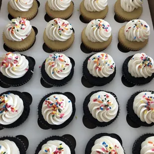 Chocolate and vanilla cupcakes w/ silky smooth and fluffy vanilla buttercream