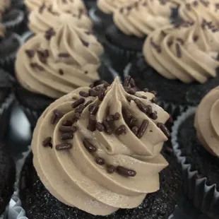 Chocolate w/ Mocha buttercream