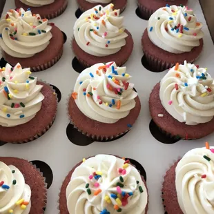 Strawberry cupcakes with vanilla buttercream