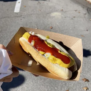 Hot dog with ketchup, mustard, relish, and onions!
