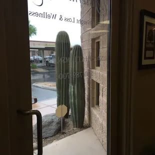 Beautiful new building by Foothills Mall