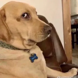 B D.