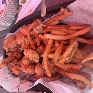 Alligator Bites