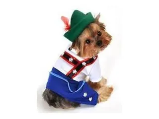 St Paws Thrift Store