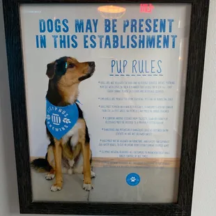 I love a dog friendly place!!