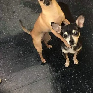 Having fun on 3 day overnight stay!