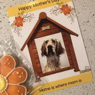 The Mother's Day card Brophy brought home to me from his day at Sit! Stay! Play!