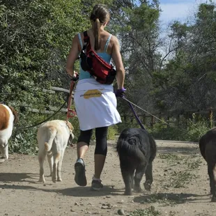 Pet Sitting and Dog Walking Specials Available in Laguna Niguel. Call (918) 809-5740. Also Serving: Dana Point, Aliso Viejo, San