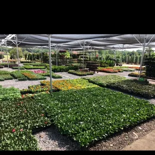 SiteOne Landscape Supply