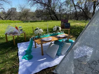 Sactown Picnics