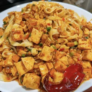 **Mapo Tofu Noodles** (Vegetarian, Spicy)  
   *Spicy stir-fried tofu with red and green bell peppers, cabbage, and hand-pulled noodles.*