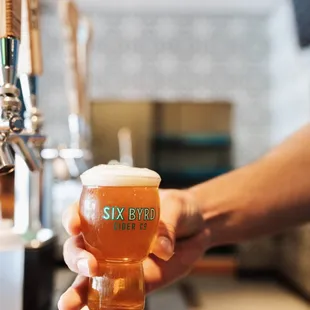 a person holding a glass of beer