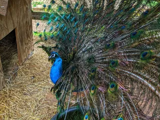 The Vineyard & Winery at Catawba Farms