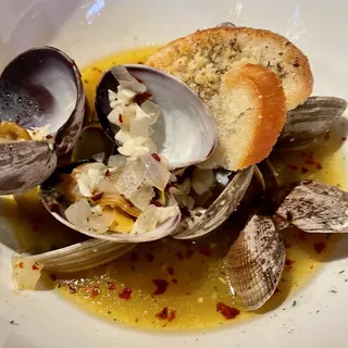 Steamed Clams