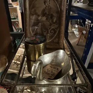 Silver swan