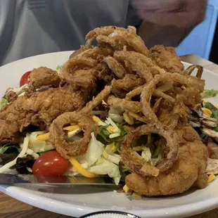 The fried chicken salad looked might good.