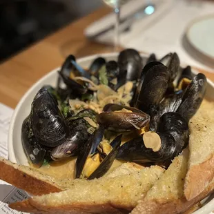 Mussels