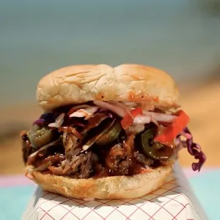 a pulled pork sandwich