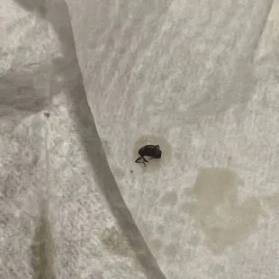 Found a bug in the food  never again Mongolian bbq