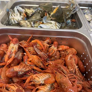 a tray full of cooked lobsters