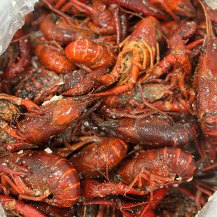 4lb Crawfish - Cajun Sauce