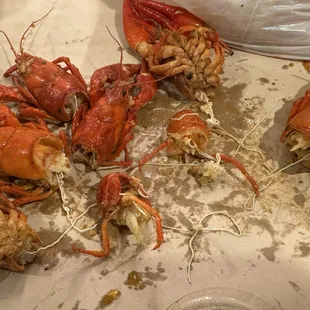 Crawfish infested with parasitic worms