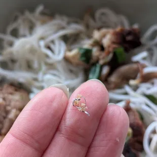 Metal shaving I pulled out of the grilled pork in the noodle bowl (takeout)