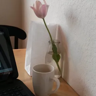 Tulip with my coffee @quietyme office for the day