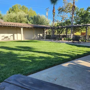 a view of a backyard