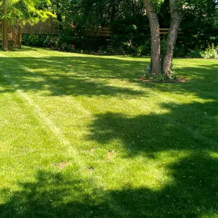 Contact SK Lawn Care at sklawncarekc.com