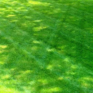 Contact SK Lawn Care at www.sklawncarekc.com