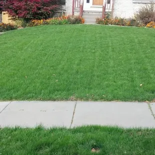 After SK Lawn Care