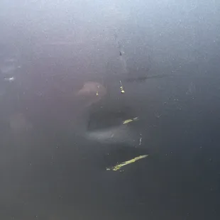 Lovely damage by unsupervised children in the parking lot.