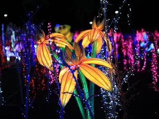 Imaginarium At Ontario Mills