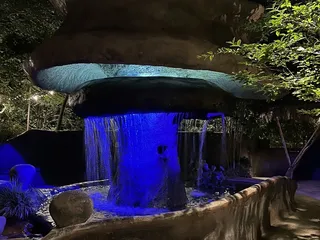 The Oasis Ranch