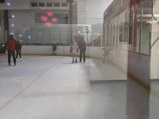 Arctic Zone Iceplex