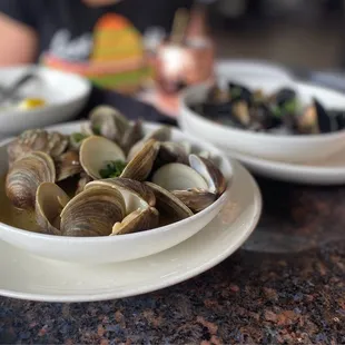 Steamed clams &amp; mussels