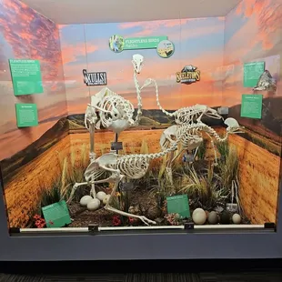 Skeletons