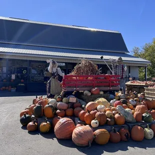 Pumpkins at the front of the store