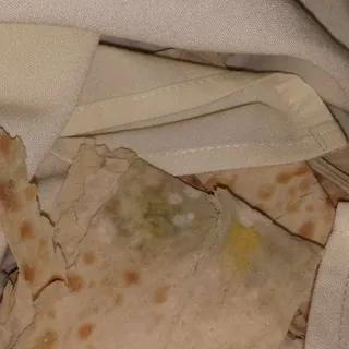 Bread