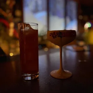 Salty Sled Dog and Coquito Magnifico