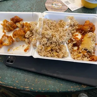 H5. Orange Chicken Special
