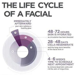 Life cycle of a facial