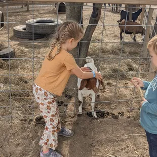 Petting zoo