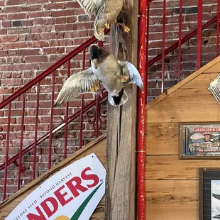 More seating Upstairs