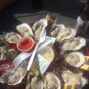 Raw Oysters