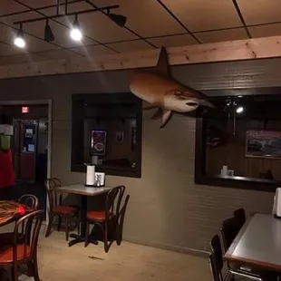 Back dining room. Very cool!