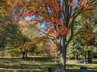 Jake Greene Park