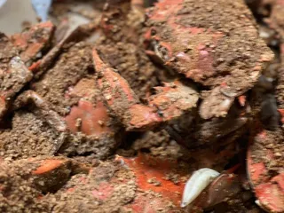Ocean Pride Seafood