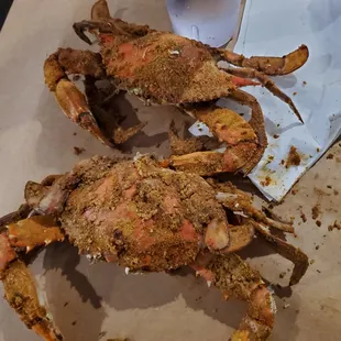 Jumbo Crabs